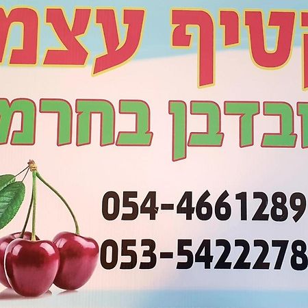 צימרים בגולן דובדבן בחרמון Mas'ada Bagian luar foto